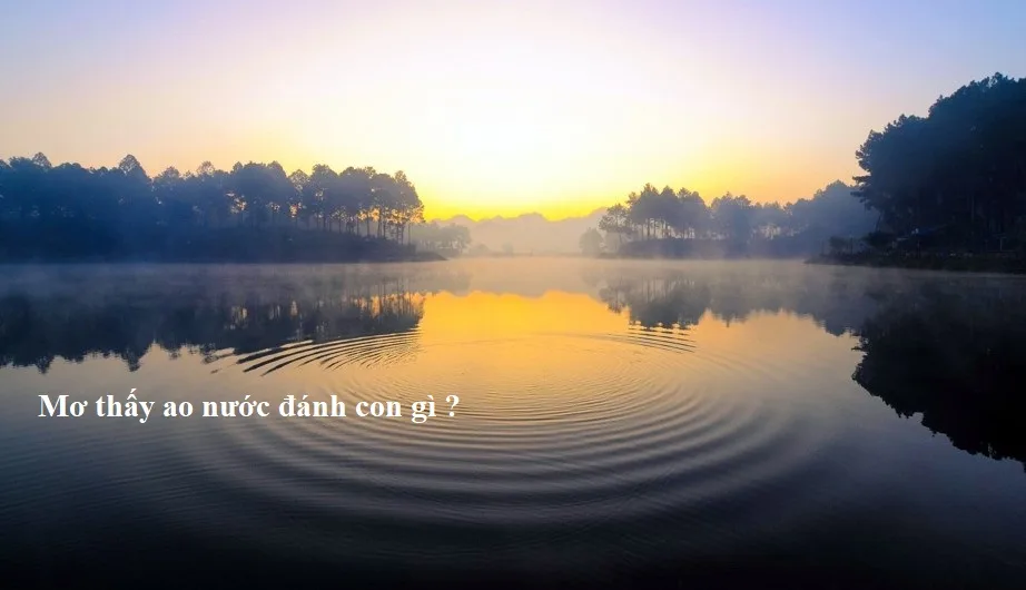 mơ thấy nước đánh số gì