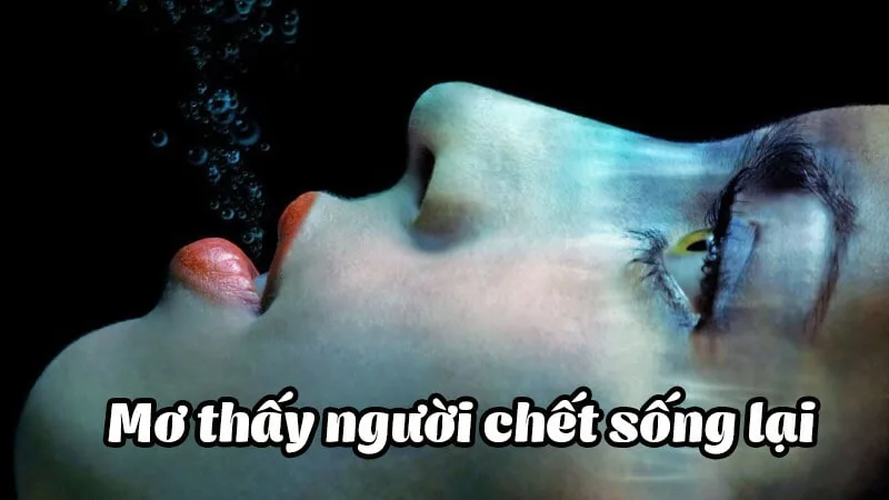 Nằm mơ thấy người chết sống lại đánh đề con gì