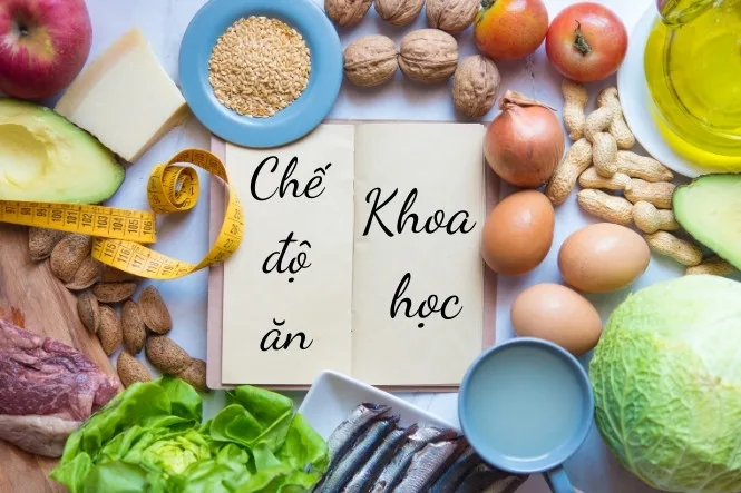 tháp dinh dưỡng cho người trưởng thành