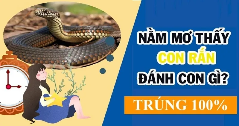 Các con số gắn với giấc mơ thấy rắn chỉ là liên tưởng dân gian, không có cơ sở khoa học để dự đoán kết quả may rủi.