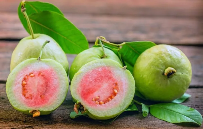 Ổi là một trong những loại trái cây giàu vitamin C nổi bật, đồng thời cung cấp chất xơ và có thể ăn trực tiếp khi được rửa sạch